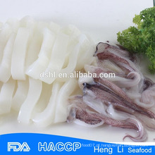 Congelado illex argentina squid venda